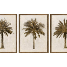 Load image into Gallery viewer, Palm Trilogy Artwork - Set of 3
